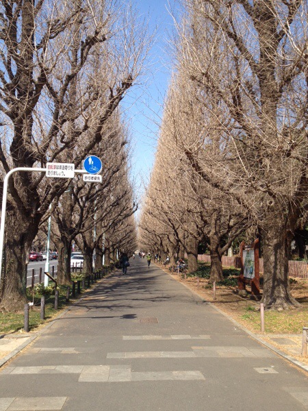 20140326-215910.jpg