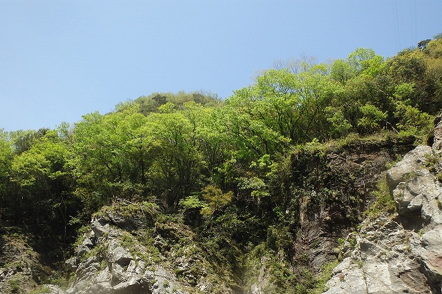 吉野川トレーニング (6)