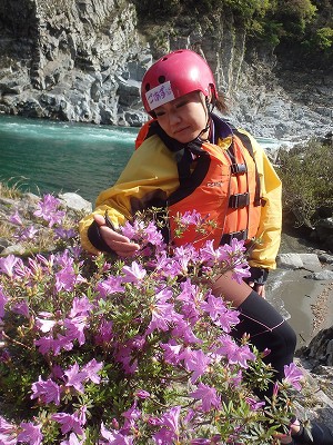 gogoadventure (1)