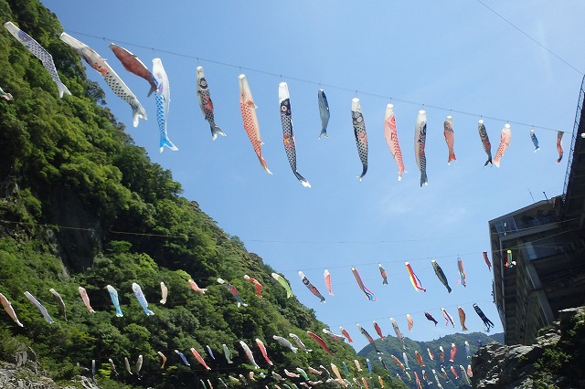 吉野川トレーニング (5)