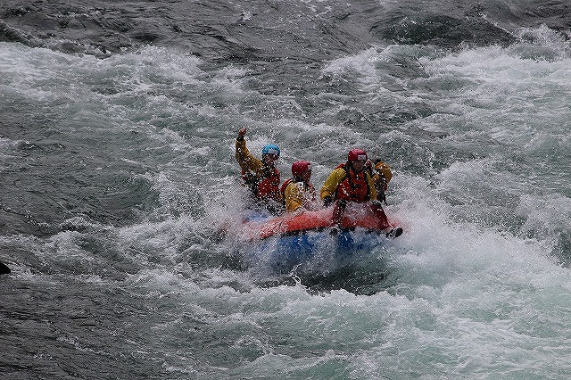 gogoadventure (3)
