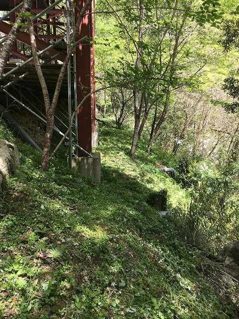 草刈り (1)