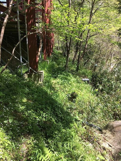 草刈り (3)